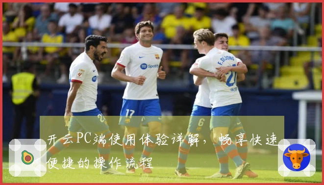 开云PC端使用体验详解，畅享快速便捷的操作流程